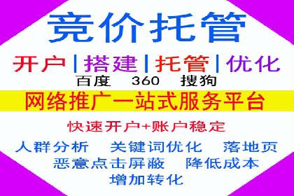 行业领先企业的SEM代运营经验分享
